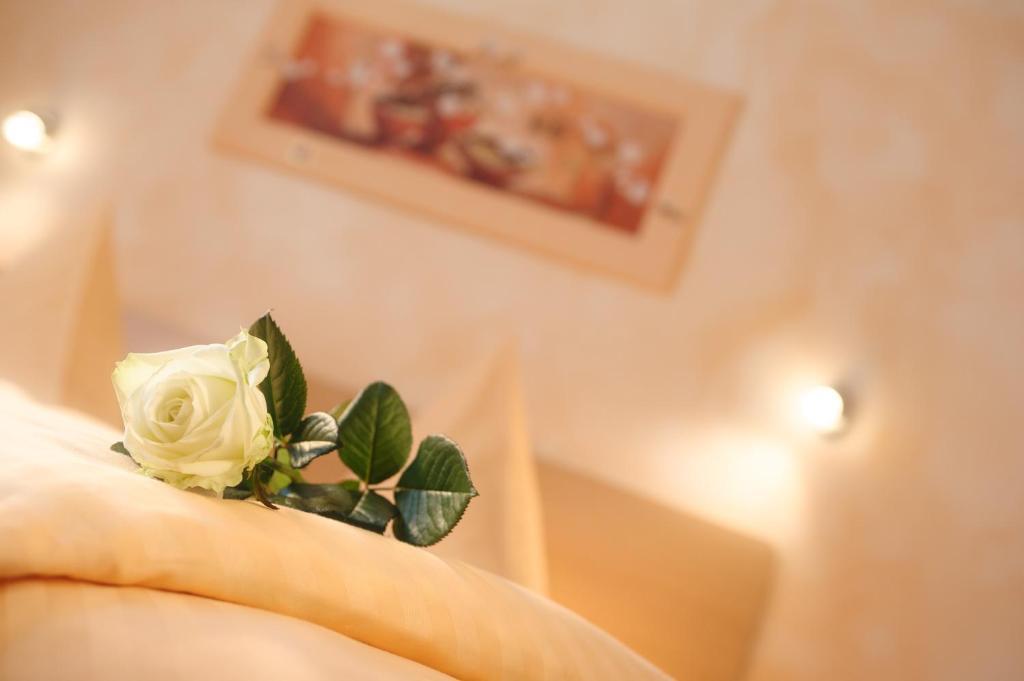 Hotel Mediterraneo Neustadt an der Weinstraße Pokoj fotografie